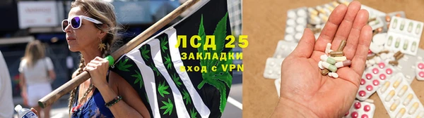 ПСИЛОЦИБИНОВЫЕ ГРИБЫ Краснослободск