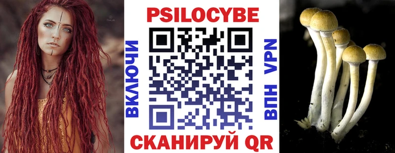 Купить закладки  Арзамас  Псилоцибиновые грибы мухоморы 